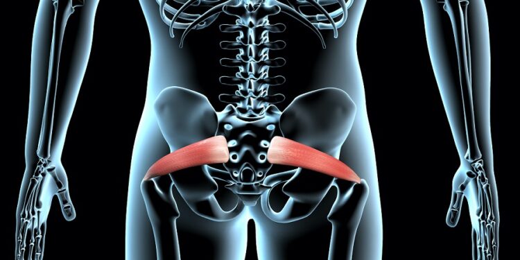 Piriformis muscle, trigger points, and pain