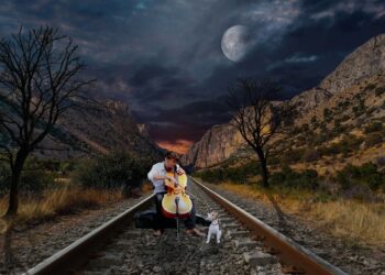 What You Need to Know About the Cello