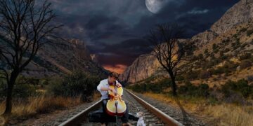 What You Need to Know About the Cello