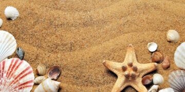 A Guide to the Best Sand for Landscaping