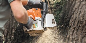 How to Find Cheap Tree Removal Services