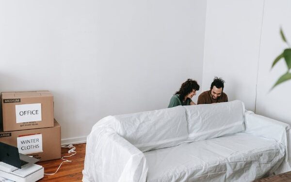 furniture moving tool