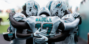 Miami Herald Dolphins:  Find the latest news About NFL Team