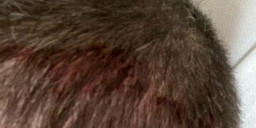 Broward County Father Denied Contact on Father’s Day: Family Court Stonewalling and DCF Investigations Leave Child at Risk